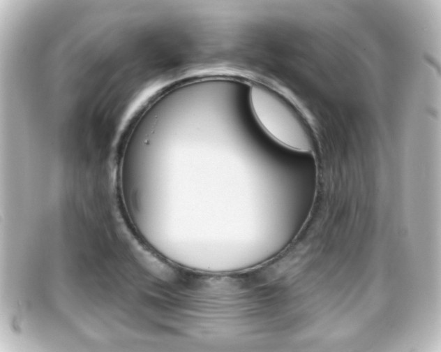 X0000096711416200802051027