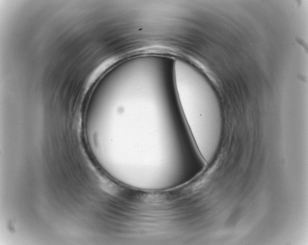 X0000096711418200802051027