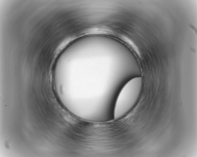 X0000096711419200802051027