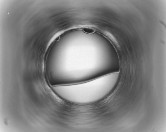 X0000096711420200802051027