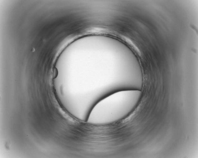 X0000096711421200802051027