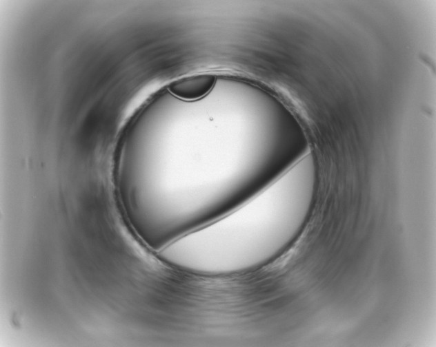 X0000096711422200802051027