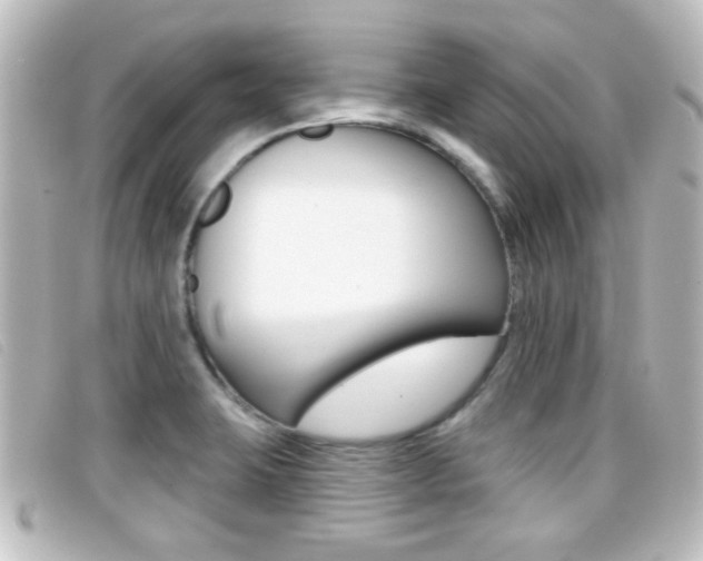 X0000096711423200802051027