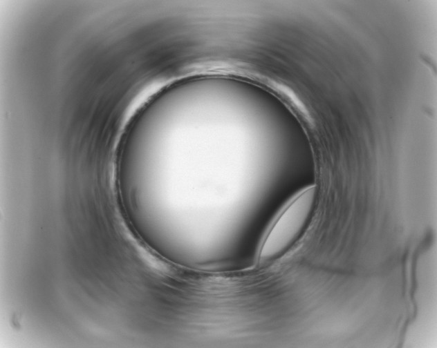 X0000096711424200802051027