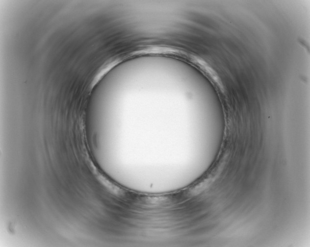 X0000096711425200802051027
