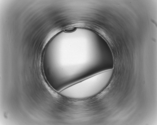 X0000096711426200802051027