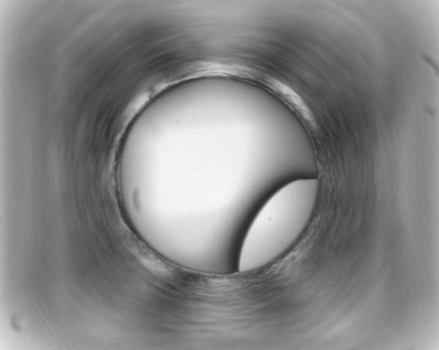X0000096711427200802051027