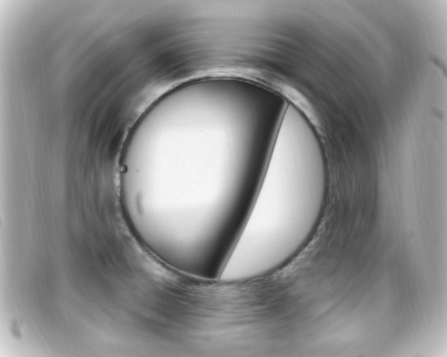 X0000096711428200802051027
