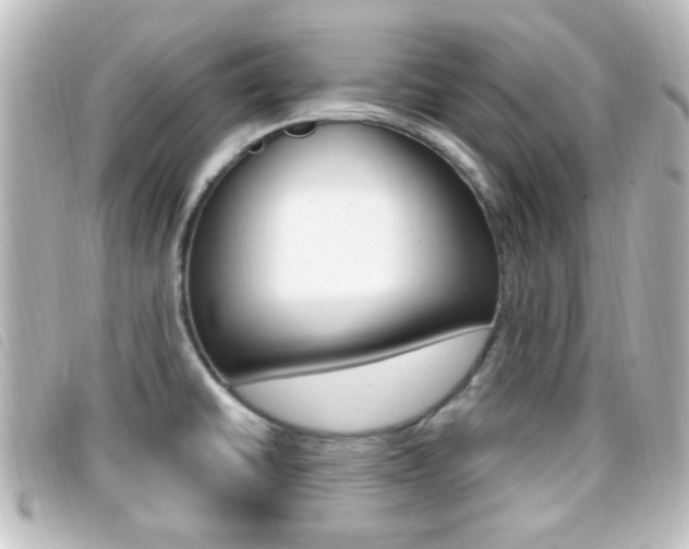X0000096711430200802051027