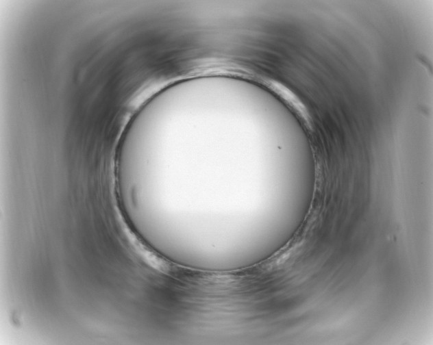 X0000096711431200802051027