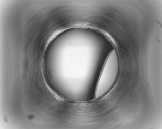 X0000096711432200802051027