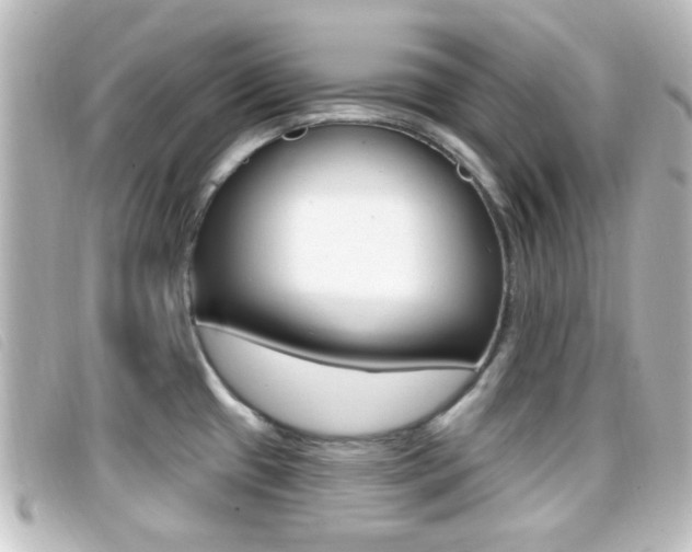 X0000096711433200802051027