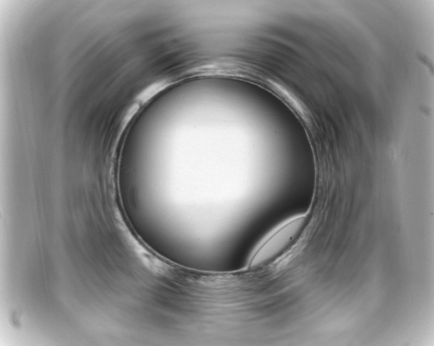 X0000096711434200802051027