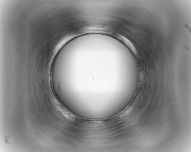 X0000096711435200802051027