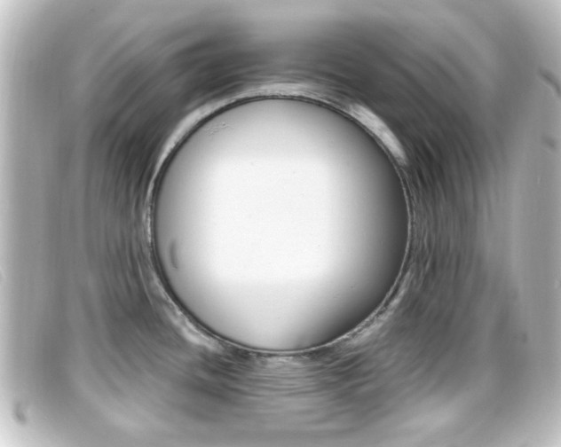 X0000096711436200802051027