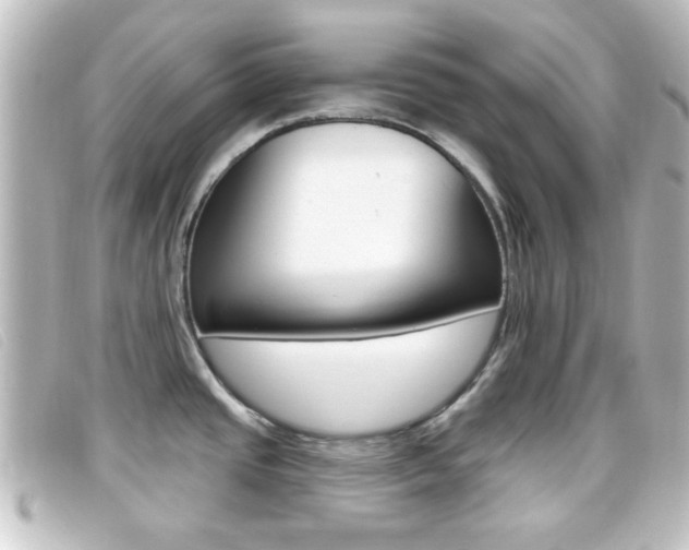 X0000096711437200802051027