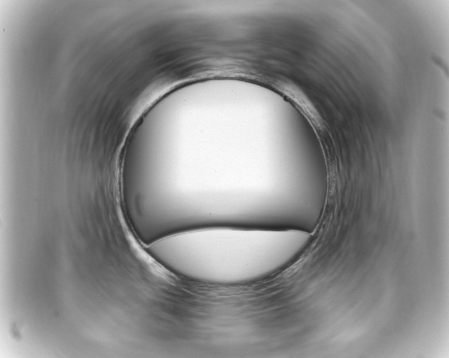 X0000096711439200802051027