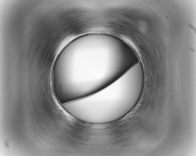X0000096711440200802051027