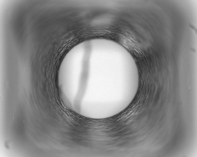 X0000096711441200802051027