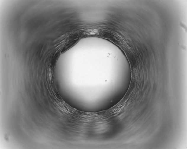X0000096711442200802051027
