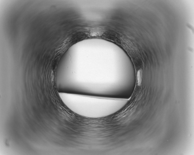X0000096711443200802051027