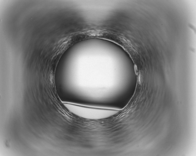 X0000096711444200802051027
