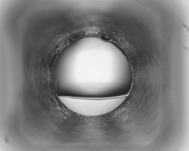 X0000096711445200802051026