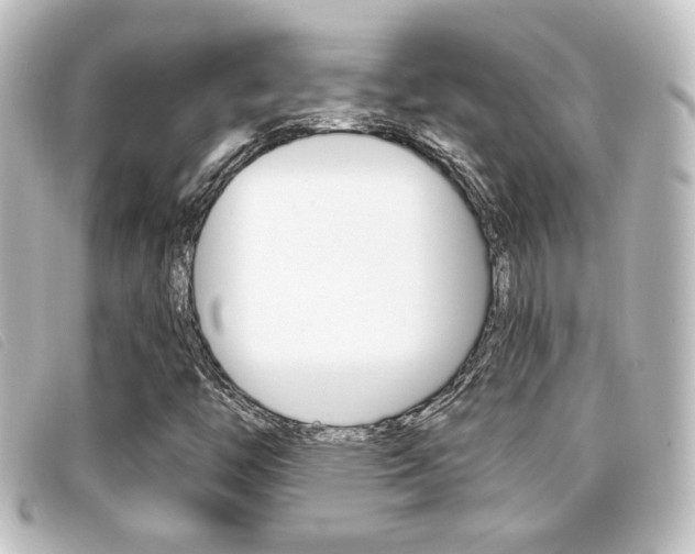 X0000096711446200802051026