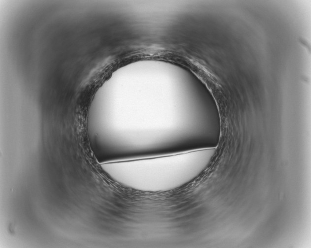 X0000096711447200802051026