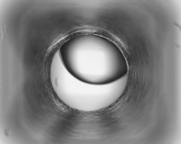 X0000096711448200802051026