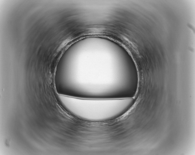 X0000096711449200802051026