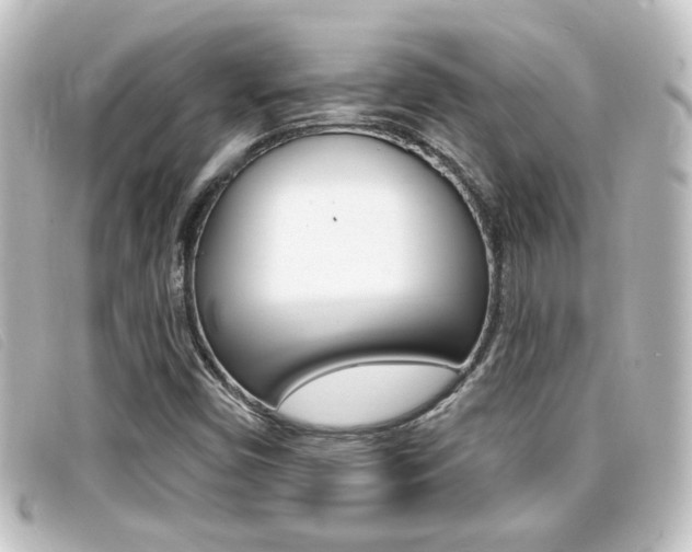X0000096711450200802051026