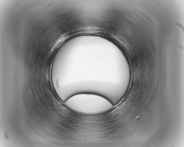X0000096711451200802051026