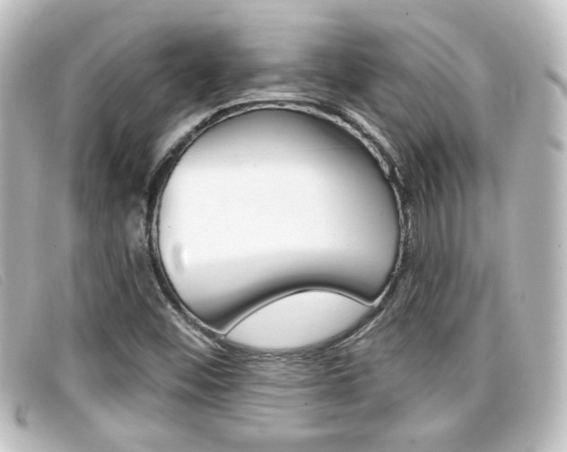 X0000096711452200802051026