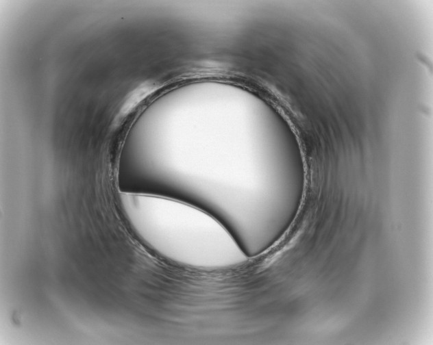 X0000096711453200802051026
