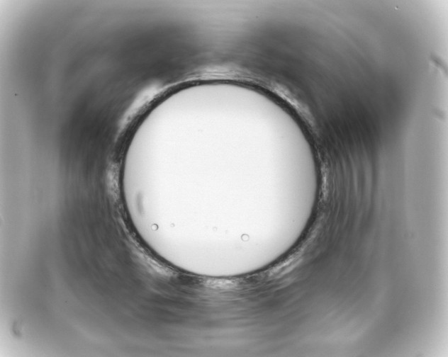X0000096711454200802051026