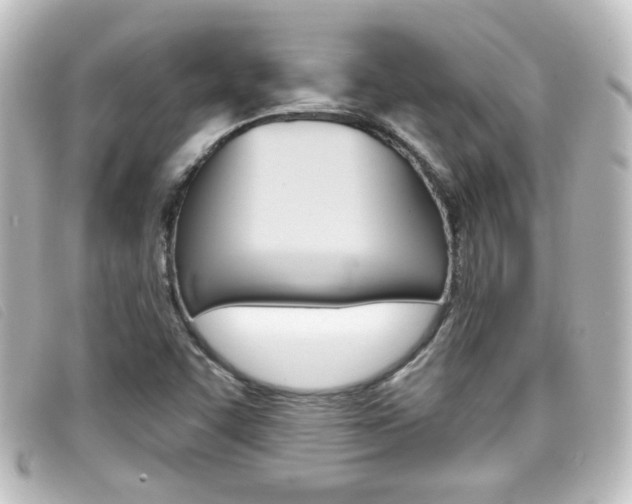 X0000096711455200802051026