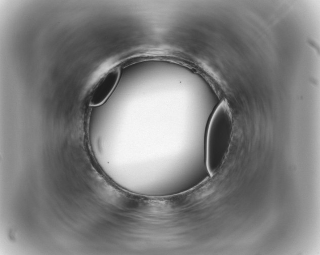 X0000096711456200802051026