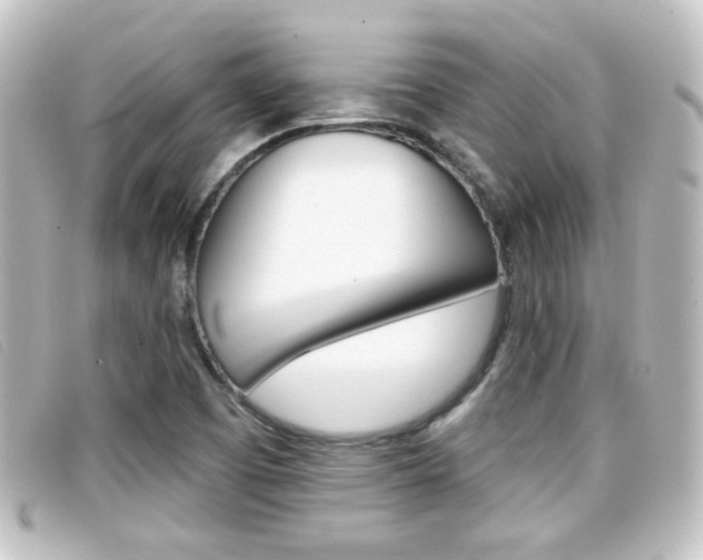 X0000096711457200802051026