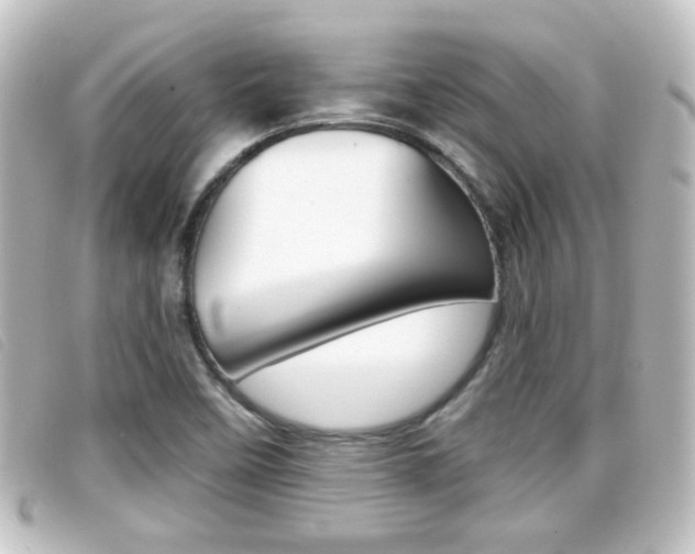 X0000096711458200802051026