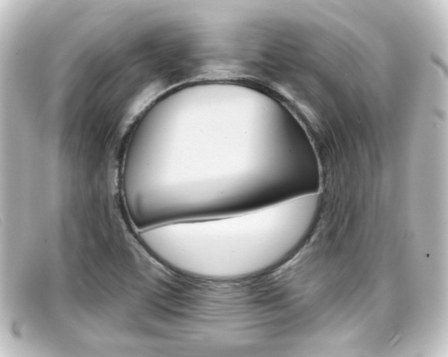 X0000096711459200802051026