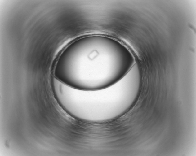 X0000096711460200802051026