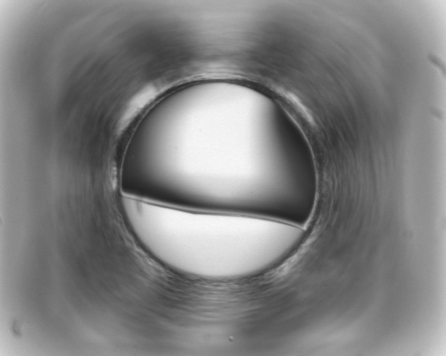 X0000096711461200802051026