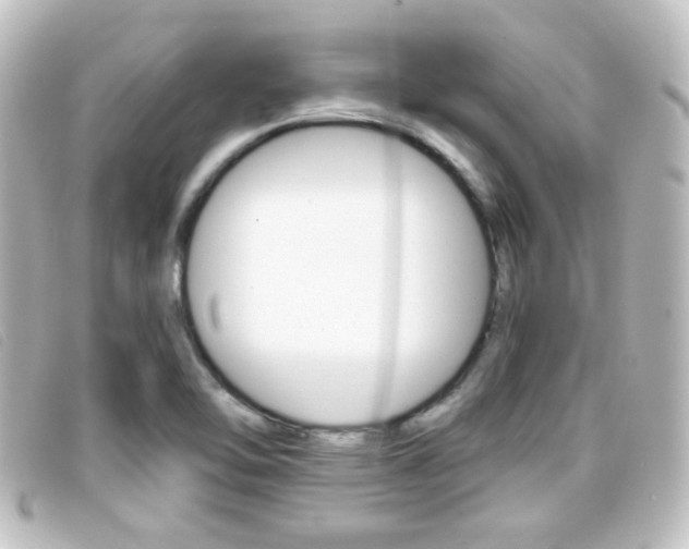 X0000096711462200802051026