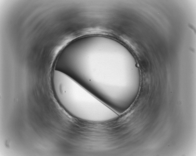 X0000096711463200802051026