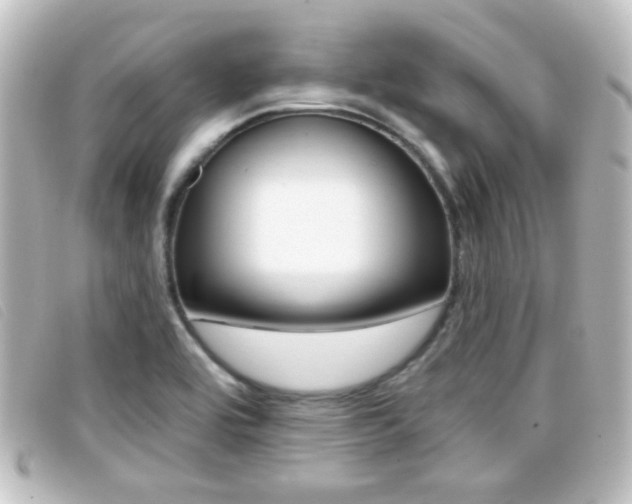 X0000096711464200802051026