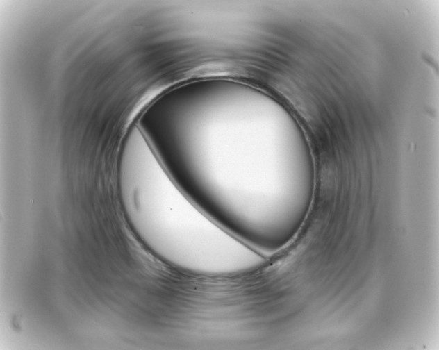 X0000096711465200802051026