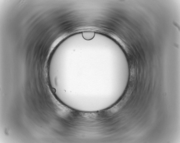 X0000096711466200802051026