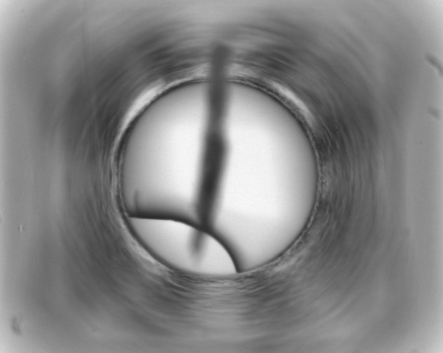 X0000096711467200802051026