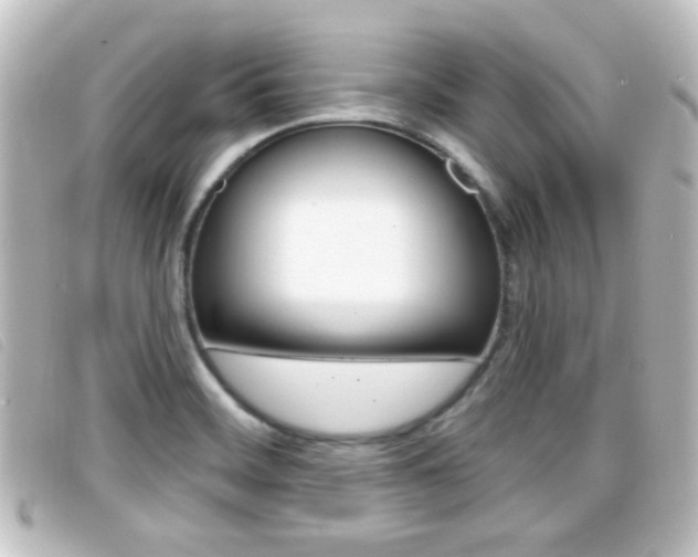 X0000096711468200802051026
